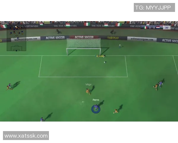 七个字的足球球星传奇与荣耀 探索他们的成长历程与精彩瞬间